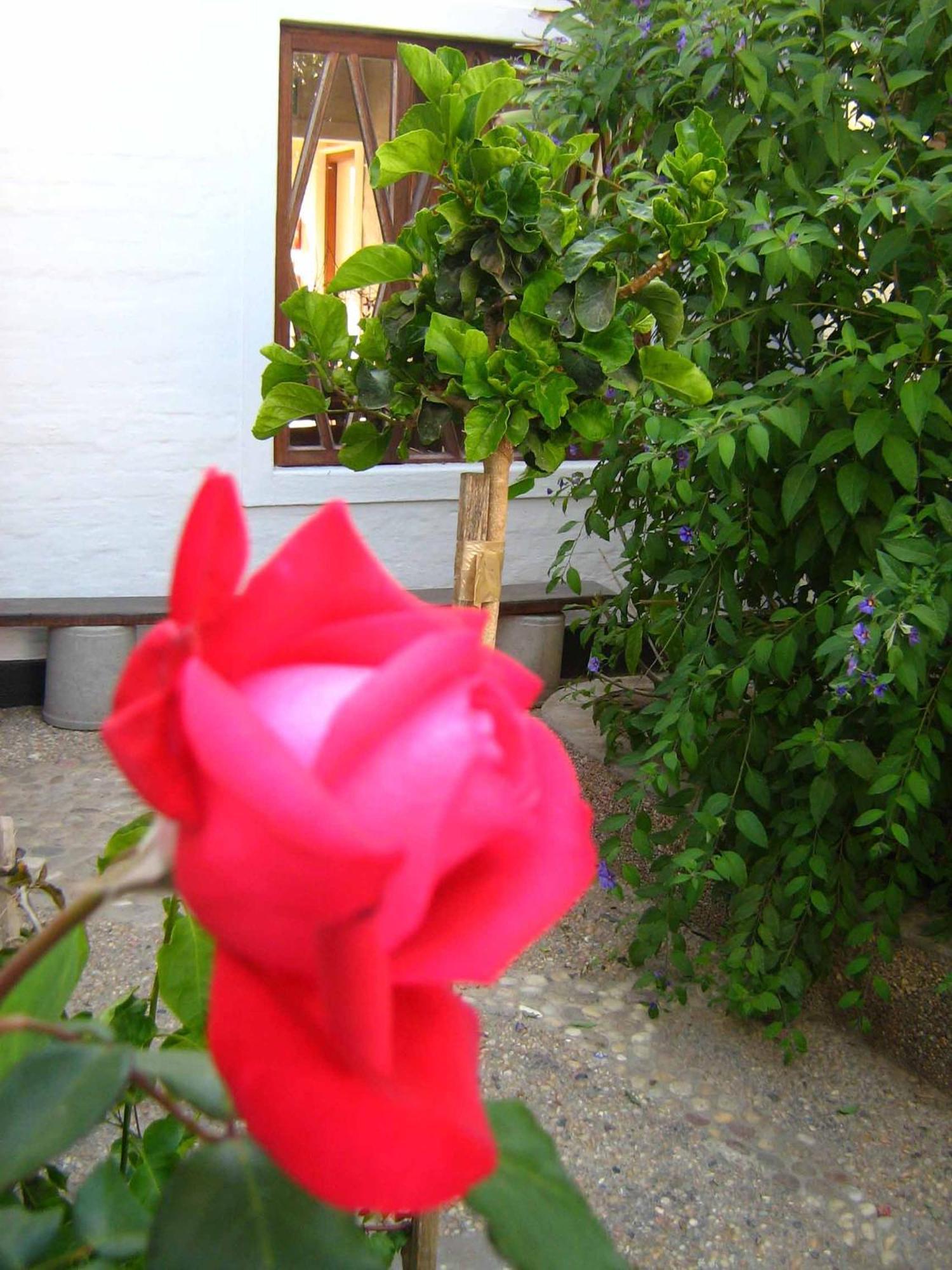 Alternative Space B & B Swakopmund Exterior foto